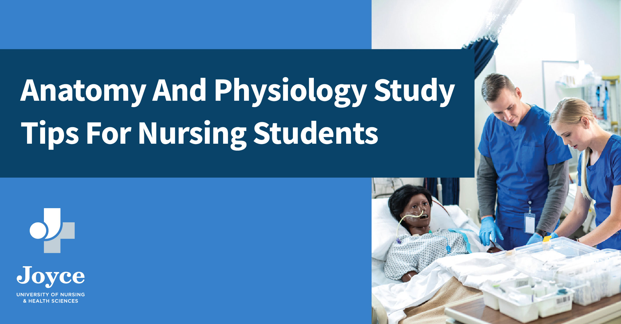 A P Study Tips For Nursing Students Joyce University a-p-study-tips-for-nursing-students-joyce-university