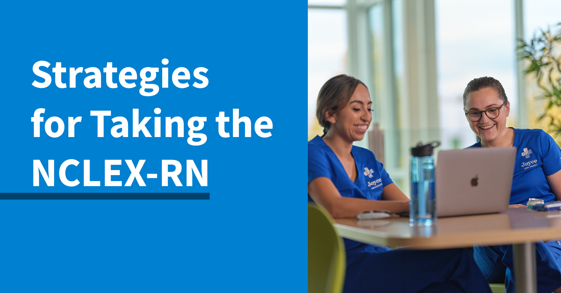 Conquer the NCLEX Test Taking Strategies & Tips [2024]